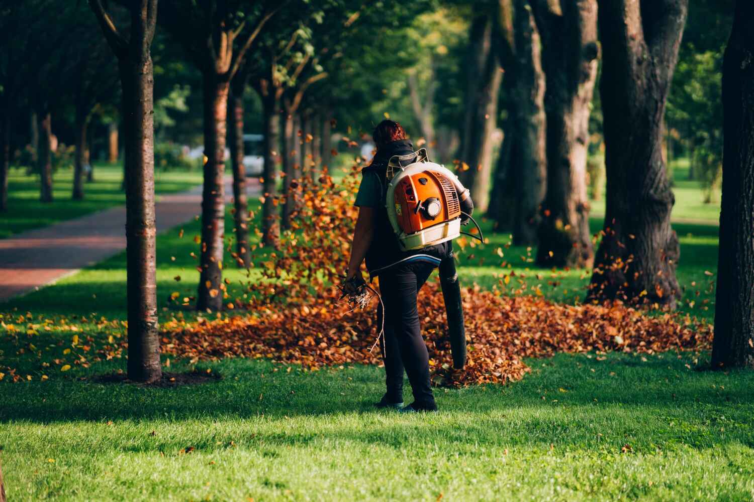 Best Tree Care Services  in Fordyce, AR